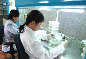 kcna21012013-1