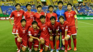 dprk-wsub20